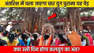 रोज दुगनी गति से बढ़ रहा यह पेड़,क्या इसी पर सवार भगवान करेंगे कलयुग का अंत?