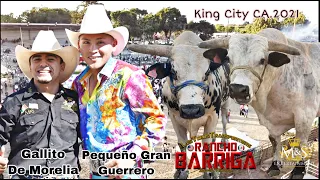 LOS MAS PEDIDOS EN USA EL PEQUEÑO GRAN GUERRERO Y GALLITO DE MORELIA¡¡  RANCHO BARRIGA EN KING CITY