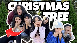 Decorate our Christmas Tree with Us! 🎄
