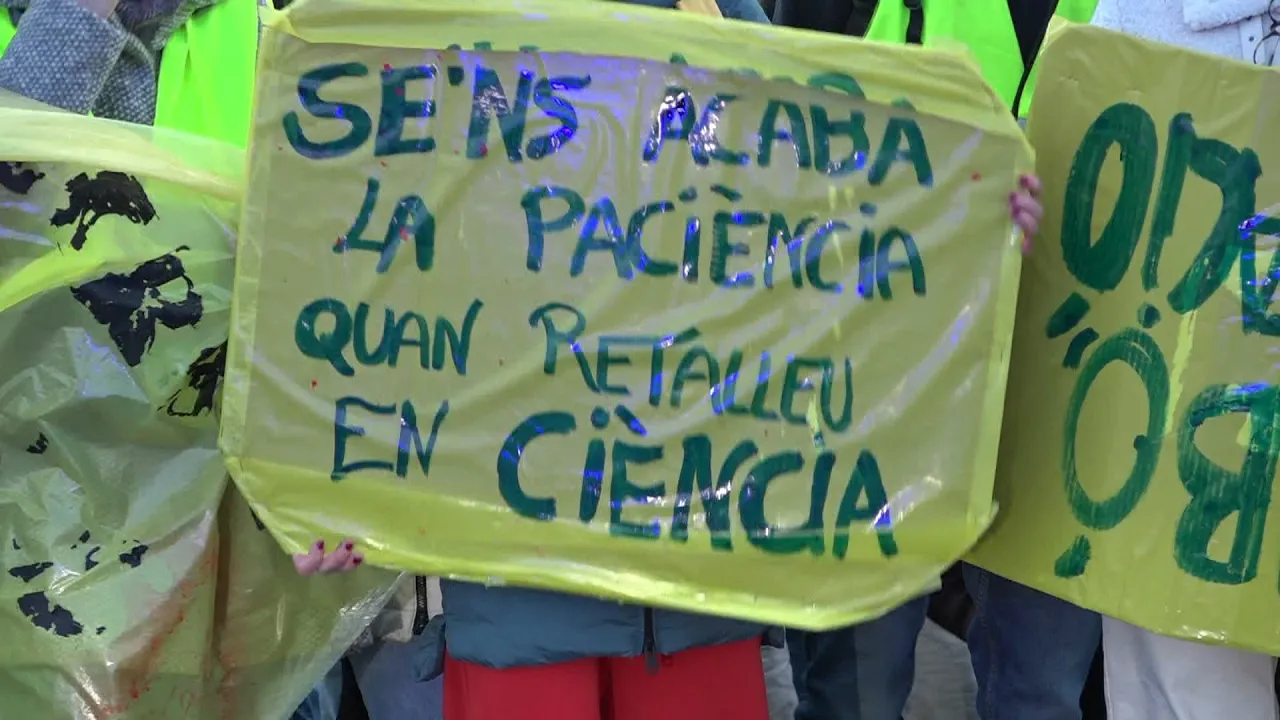 El 9 Informatiu – 11-2-26