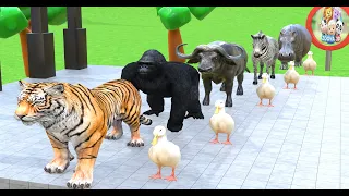 Long Slide 3D Game With Tiger Buffalo Gorilla Hippopotamus Zebra Part3 | Zoova 3D