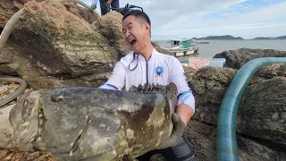 打窝七天的大水坑引来一群深海巨物，光一条大石斑十几斤大卖1600