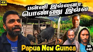 🇵🇬மலைவாழ் மக்களின் விசித்திர வாழ்க்கை| Papua New Guinea ep6