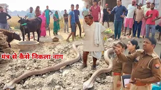 पहली बार मंत्र से जहरीला सांप को कैसे निकाला गया कैमरे में हुआ कैद जरूर देखें 😱ballia rescue team