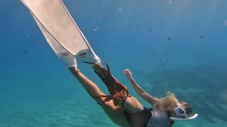 BIGGEEEE OCTOPUS! (3 mermaids in Hawaii!)