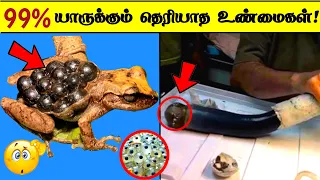 99% யாருக்கும் தெரியாத உண்மைகள் ! Trendy Sky Tamil_Fact In Tamil__Tamil galatta news