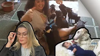 O processo de 15 Milhões - CANIL GABRIELA BUENO