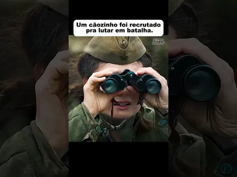 Um cãozinho foi recrutado pra lutar em batalha. #shorts