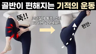 하루 10분만 하세요👌🏻골반,고관절이 마법같이 편해집니다ㅣ고관절소리, 고관절통증, 고관절찝힘 해결