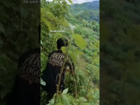 Satu momen yang benar-benar mengejutkan.. 😳