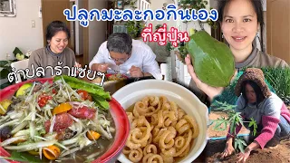Ep.2103 ปลูกมะละกอกินเองที่ญี่ปุ่น ทำส้มตำแซ่บๆแคปหมูกรอบๆ4 พฤศจิกายน 2564