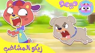أغنية شوفوا زيكو | قناة ميمو - Memo