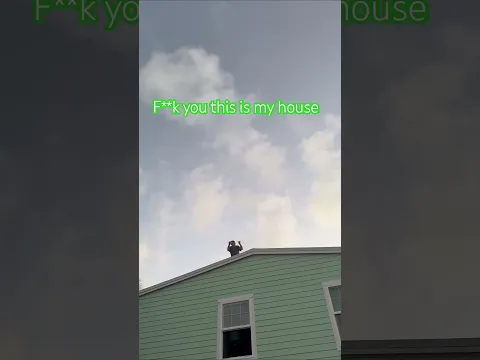 Dangerous Fan ATTACKS Patty Mayo #pattymayo #crazy #crazyfans