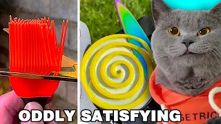 Cat Oscar Tells You How To Relax Yourself?😀👀| Oscar‘s Funny World | Cute And Funny Cat