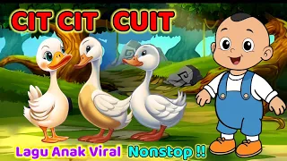 Lagu Anak Viral !! CIT CIT CUIT - Lagu Anak Lucu Populer, Animasi Bebek Nyosor