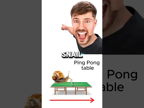 MrBeast's impossible speed question!  🇺🇲 vs 🏓
