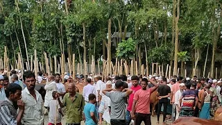 শনিবারের গরুর হাট - Live 🔴