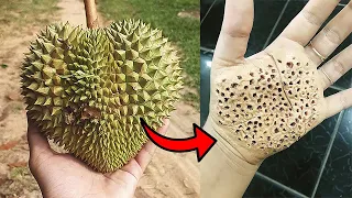 Most Dangerous Fruits You Should NEVER Touch 😨