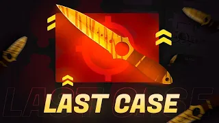 🙌Last Case SAVED me 🐻 CSGO-SKINS
