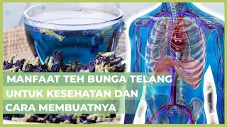 Pernah Minum Teh Bunga Telang Belum? Teh Biru Ini Punya Beragam Manfaat Untuk Tubuh Kamu Loh!