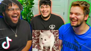 Forcing Grizzy & Droid to REACT to My Liked TikToks IN PERSON