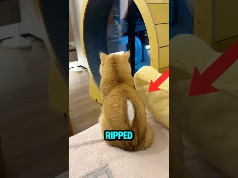He Thought Something Was Hapenning so he Did This 😱