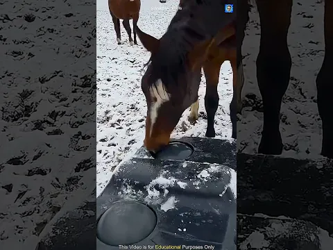 #remix