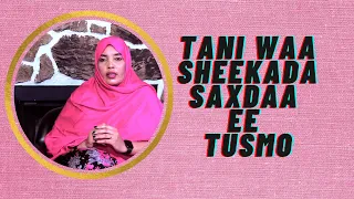 SAFIYA TUSMA OO KA HADLAYSA SIDA WAX U DHACEEN