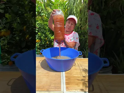 Como usar este abono para las plantas en casa