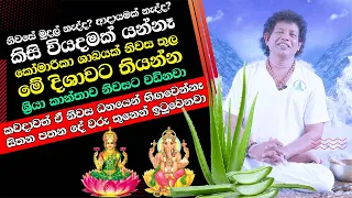 කෝමාරිකා ශාඛයක් නිවස තුල තියන්න - කවදාවත් ඒ නිවස ධනයෙන් හිඟවෙන්නෑ  සිතන පතන දේ වරු තුනෙන් ඉටුවෙනවා