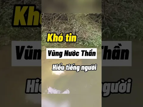 Khó Tin "Vũng Nước Thần" Hiểu Tiếng Người
