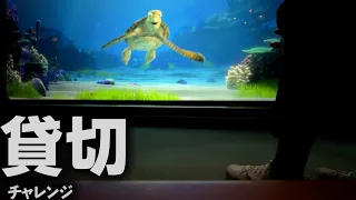 （第２回）朝イチでタートルトークに行ったら貸切できる説