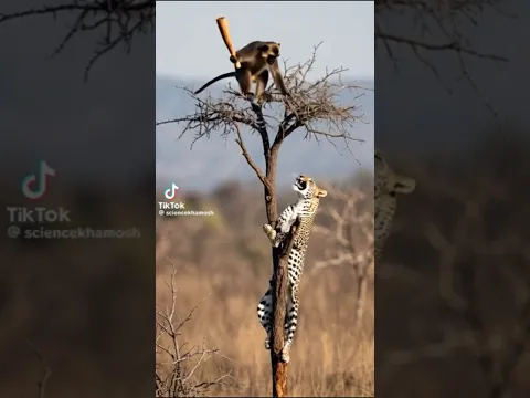 AI Stop it