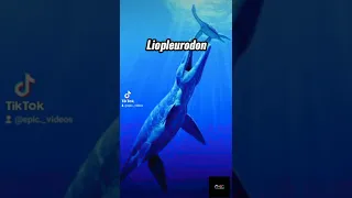 Top 10 Animals That Only God Can Bring Back 🥵☠️⚡️ #short #epicvideo