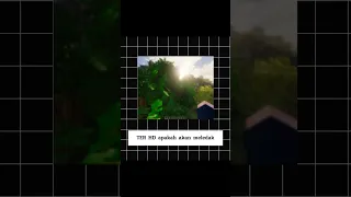MINECRAFT HD????