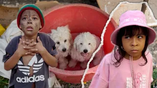 El mendigo le da comida a los PERROS de la calle 💔