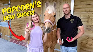 I SURPRISED HARLOW WITH COLOURED HORSESHOES FOR POPCORN!