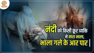 नंदी को किसी क्रूर व्यक्ति ने मारा भाला,भाला गले के आर पार |