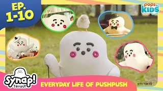 Everyday life of PushPush รายการใหม่จากญี่ปุ่น รวม 10 ตอน [1-10]