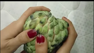 اسهل طريقة لاكل فاكهة القشطة