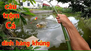 Hai anh em đi câu trộm Cá nhà hàng xóm và cái kết