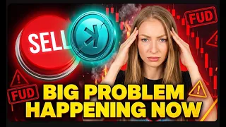 Kaspa Ecosystem Update! The Race Between Halving Rewards & Real Adoption
