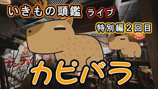 いきもの頭鑑ライブ　カピバラ編２回目　2024/01/25