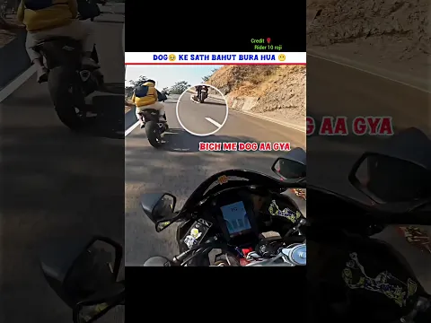 dog 🥹ke sath bahut bura hua 😬#shorts #viralvideo #motovlog