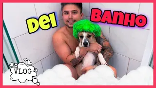 VLOG: Dei Banho Nelas | Amorinha ChowChow