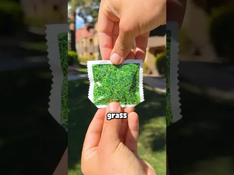 THE IMPOSSIBLE EGG HUNT