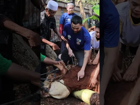 ADAM KURBAN APA TAHUN INI??