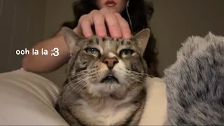 giving my cat (and u) tingles (asmr)