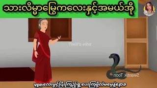 သားလိမ္မာမြွေကလေးနှင့်အမယ်အိုတို့ကြားကသံယောဇဥ်