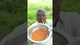IS INDIAN CHICKEN GOOD WITH CHOCOLATE #wisespade7 #asmr #diy #trending #yapping